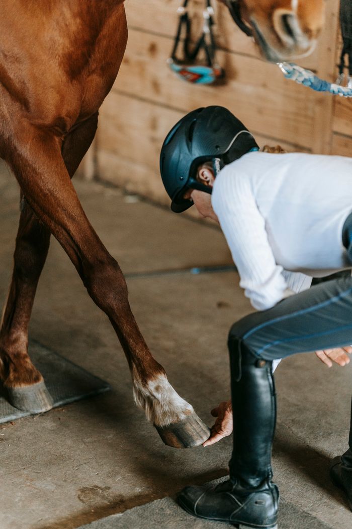 our-mission A woman checks a horse's hoof in a stable, demonstrating horse care and safety practices.